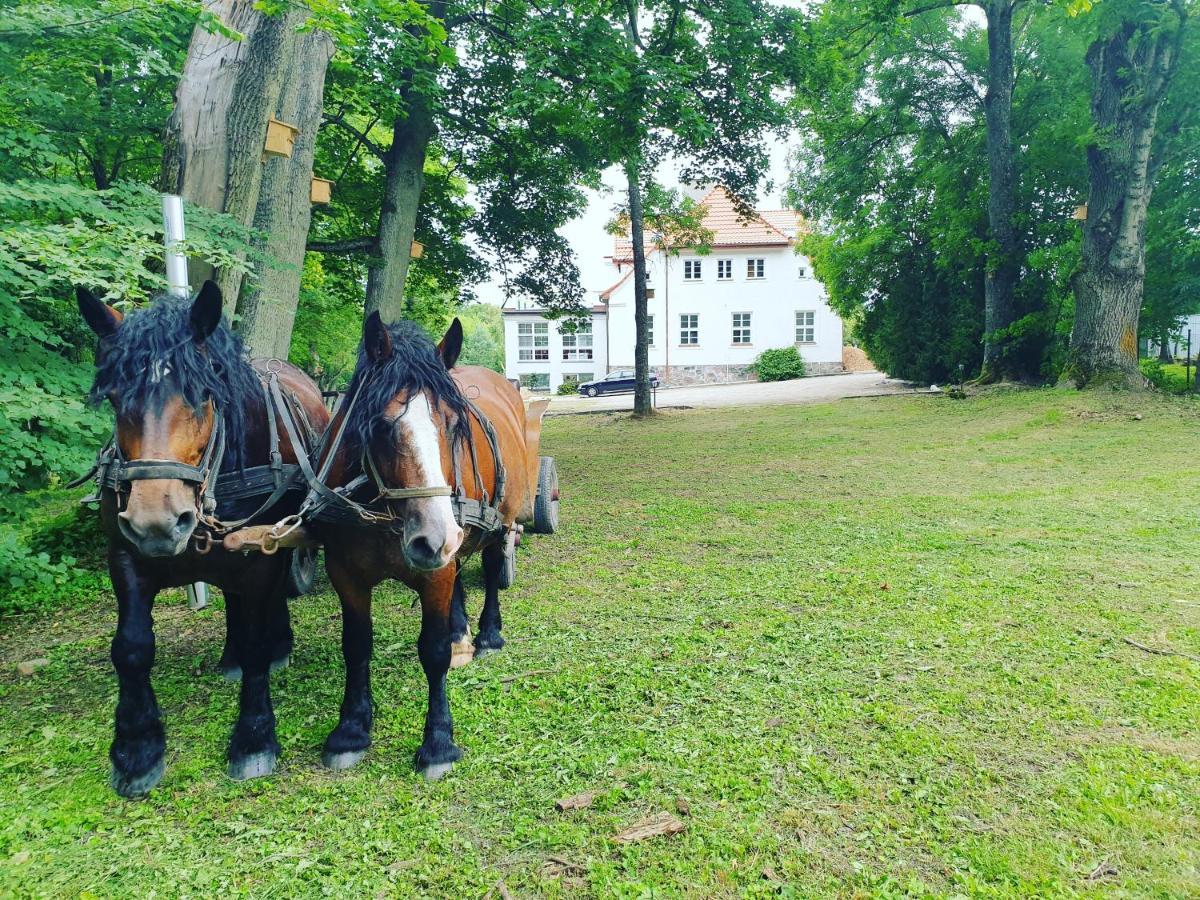 Dwor Nad Jeziorem W Bieniaszach Bed and Breakfast Milakowo Esterno foto